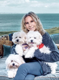 Barbra Streisandová se svými psy.
